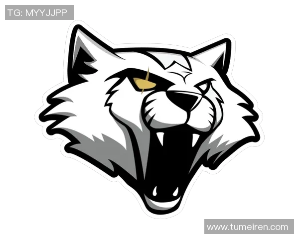 探讨FPX战队中CSGO选手的个人能力与团队协作的关系实时数据 探讨FPX战队中CSGO选手的个人能力与团队协作的关系实时数据