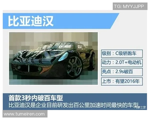 独家解析V5战术与对手的全面对比与优势分析实时新闻